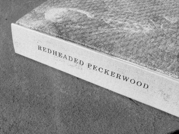 Redheaded Peckerwood artist book