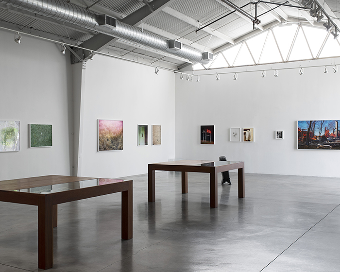 Rose Gallery, 2013