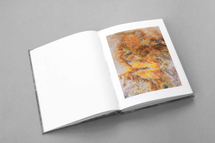 Redheaded Peckerwood artist book