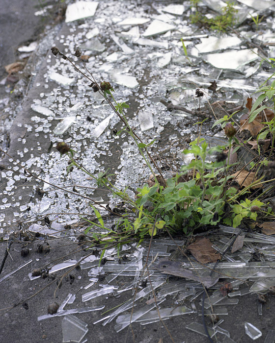 Shattered Glass, 2009