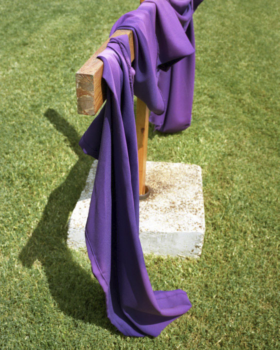 Purple Cloth, 2009