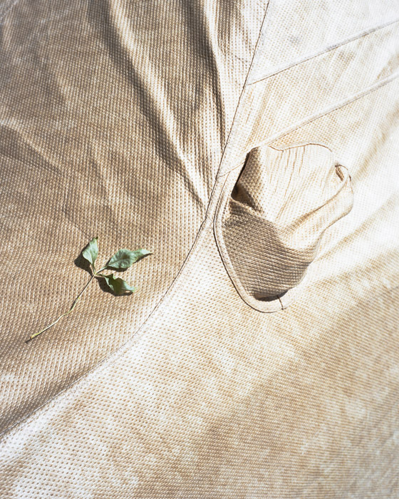 Feather, 2009