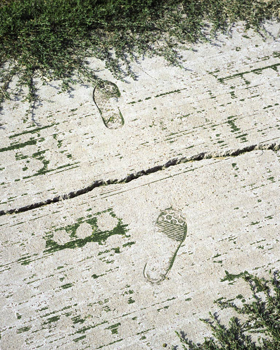 Green Curb, 2009