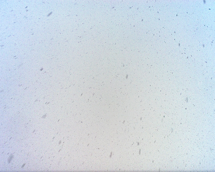 Snowfall